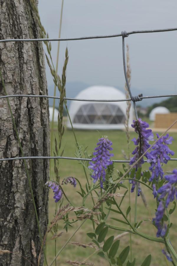 Glamping Resort Dolny Kamenec Exterior foto